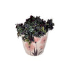 7" Pink Flower Round Self-Watering Bamboo Pot