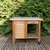 Gardener's Table with Wheels Cabinet and Drawer