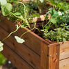 Square Raised Bed with Shelf