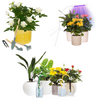 Plant Grow Kit