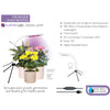 Plant Grow Kit