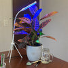 Plant Deluxe Kit
