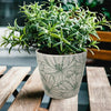 7" Green Flower Round Self-Watering Bamboo Pot