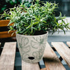 7" Green Flower Round Self-Watering Bamboo Pot
