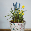 7" Wildflower Round Self-Watering Bamboo Pot