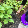 2.1 gal Violet Metal Watering Can/Memory Foam Kneel Cushion
