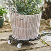 20" Gray Round WPC Plant Caddy