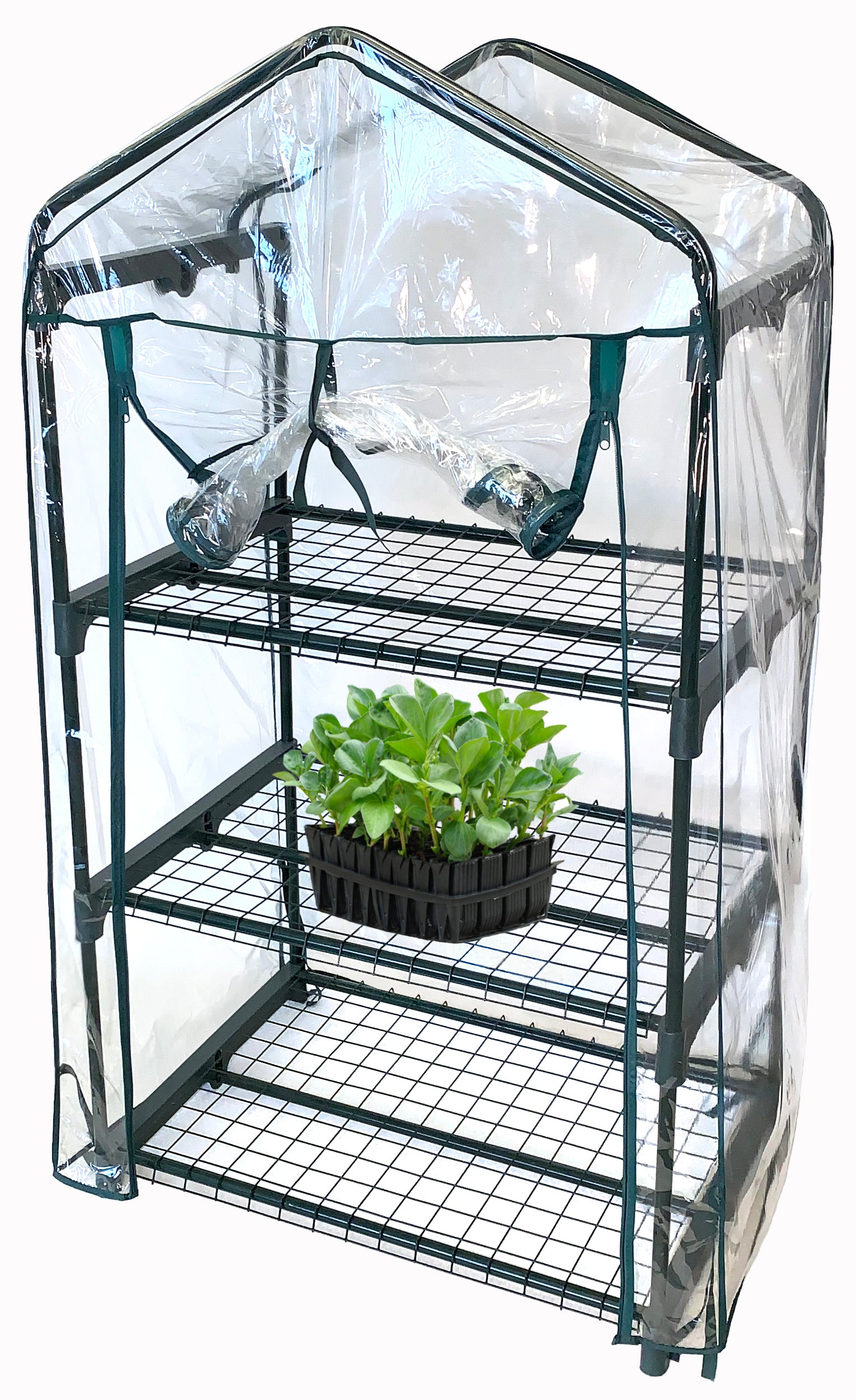 3 Shelf Greenhouse