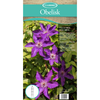 94.5" Obelisk