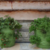 Strawberry & Herb Patio Planter 2pk