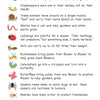 Little Pals Bug Watching Activity Kit