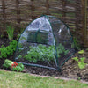 Standard Easy Poly Dome