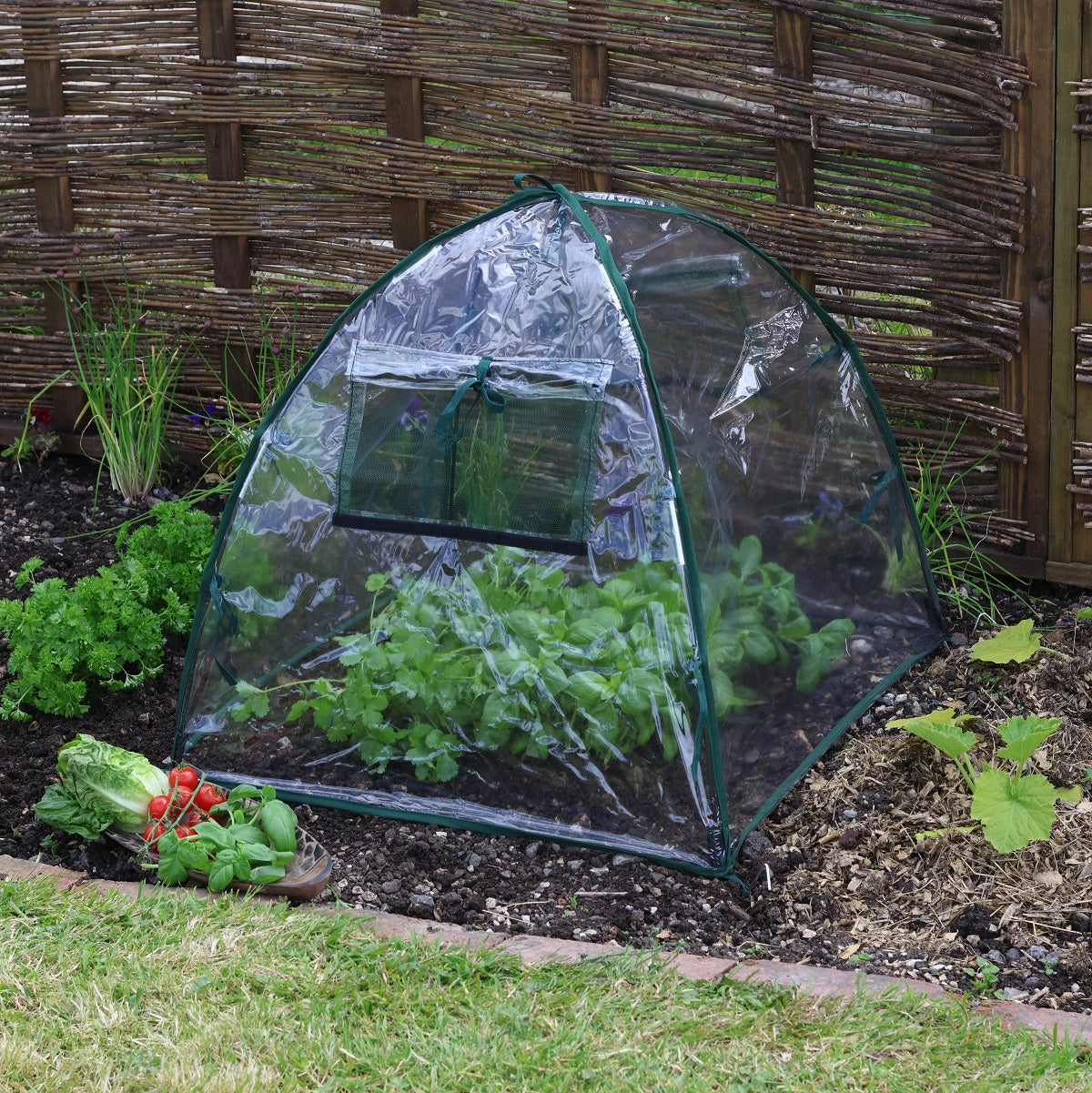 Standard Easy Poly Dome