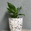7" Gray Leaves Round Self-Watering Bamboo Pot