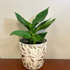 7" Gray Leaves Round Self-Watering Bamboo Pot