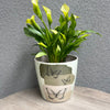 7" Butterfly Round Self-Watering Bamboo Pot