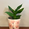 7" Pink Flower Round Self-Watering Bamboo Pot