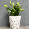 7" Wildflower Round Self-Watering Bamboo Pot