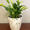 7" Wildflower Round Self-Watering Bamboo Pot