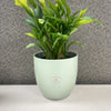 6.3" Matte Linden Green Ceramic Basel Fashion Pot