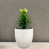 6.3" Shiny Light Gray Ceramic Basel Elegance Pot