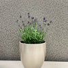 6.3" Gray Beige Metallic Ceramic Basel Elegance Pot