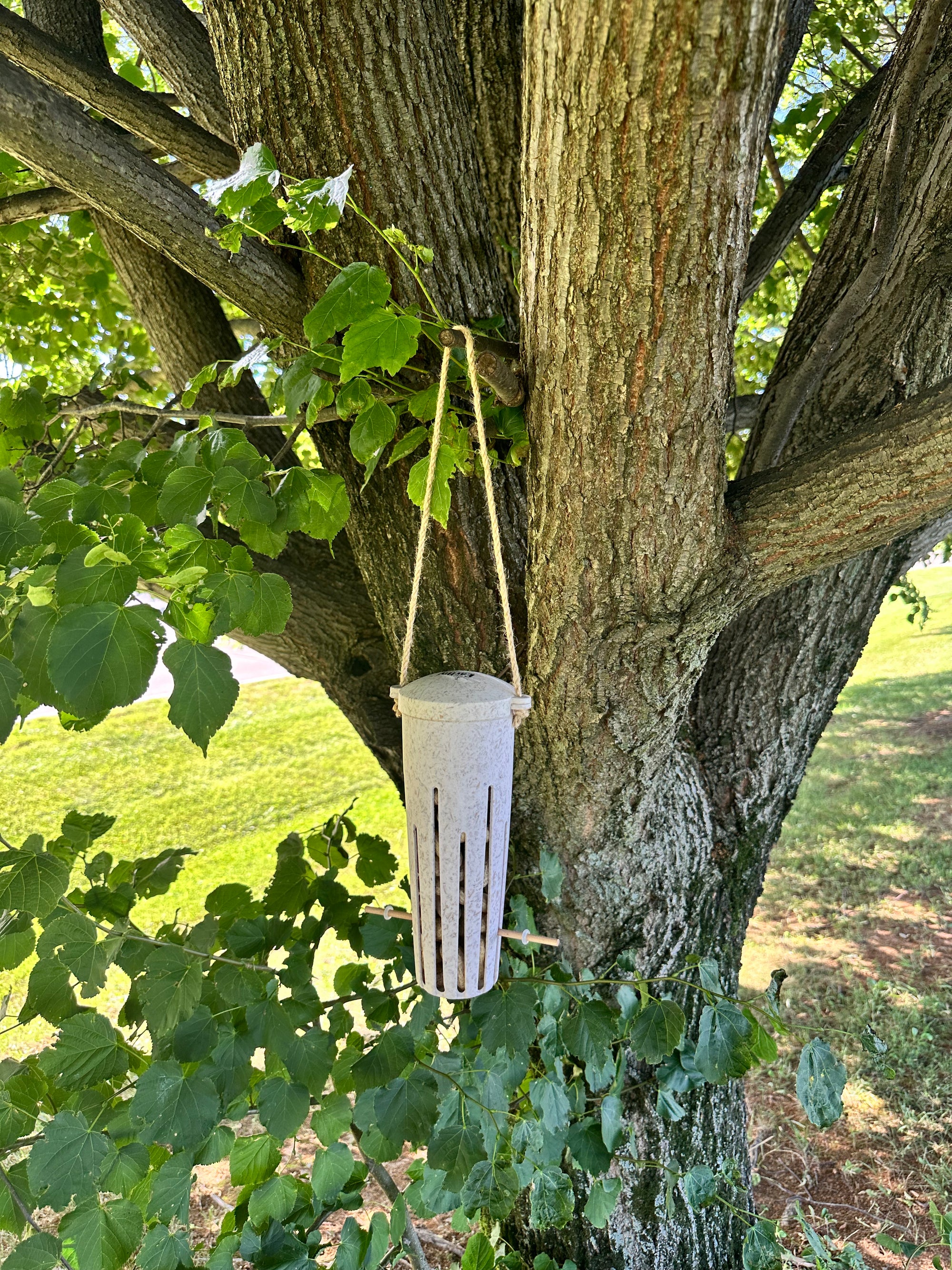 Peanut Feeder - Chaff
