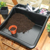 Compact Tidy Tray Black with Shelf