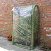 Tomato Crop Booster with Cover
