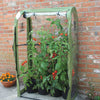 Tomato Crop Booster with Cover