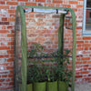 Tomato Crop Booster with Cover