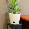 10" Cream Round Self-Watering Bamboo Pot