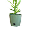10" Sage Round Self-Watering Bamboo Pot