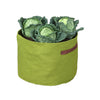 Vigoroot Vegetable Planter