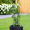 Plant Trellis Kit- Small Circle