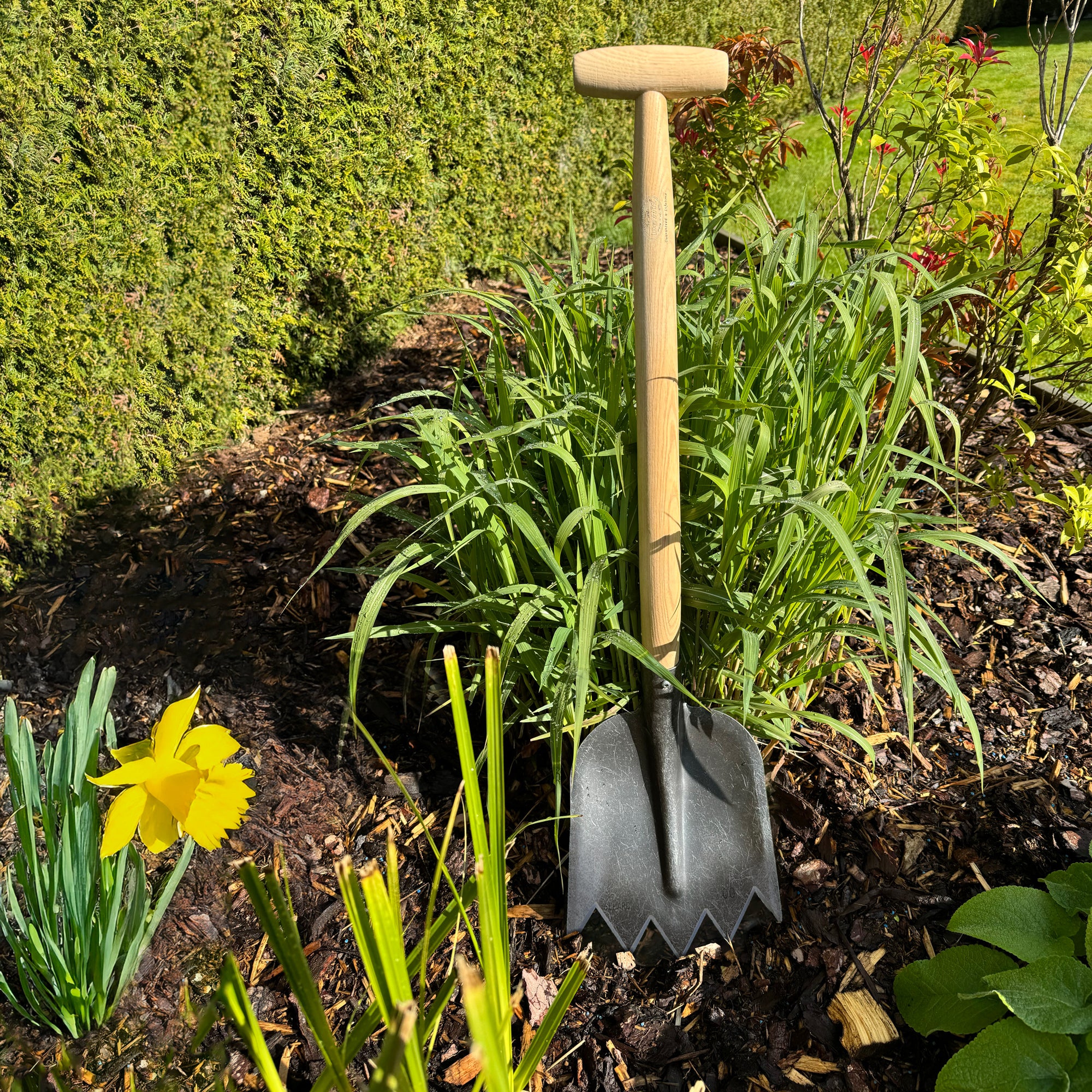 DeWit Shovel - Serrated T-Handle