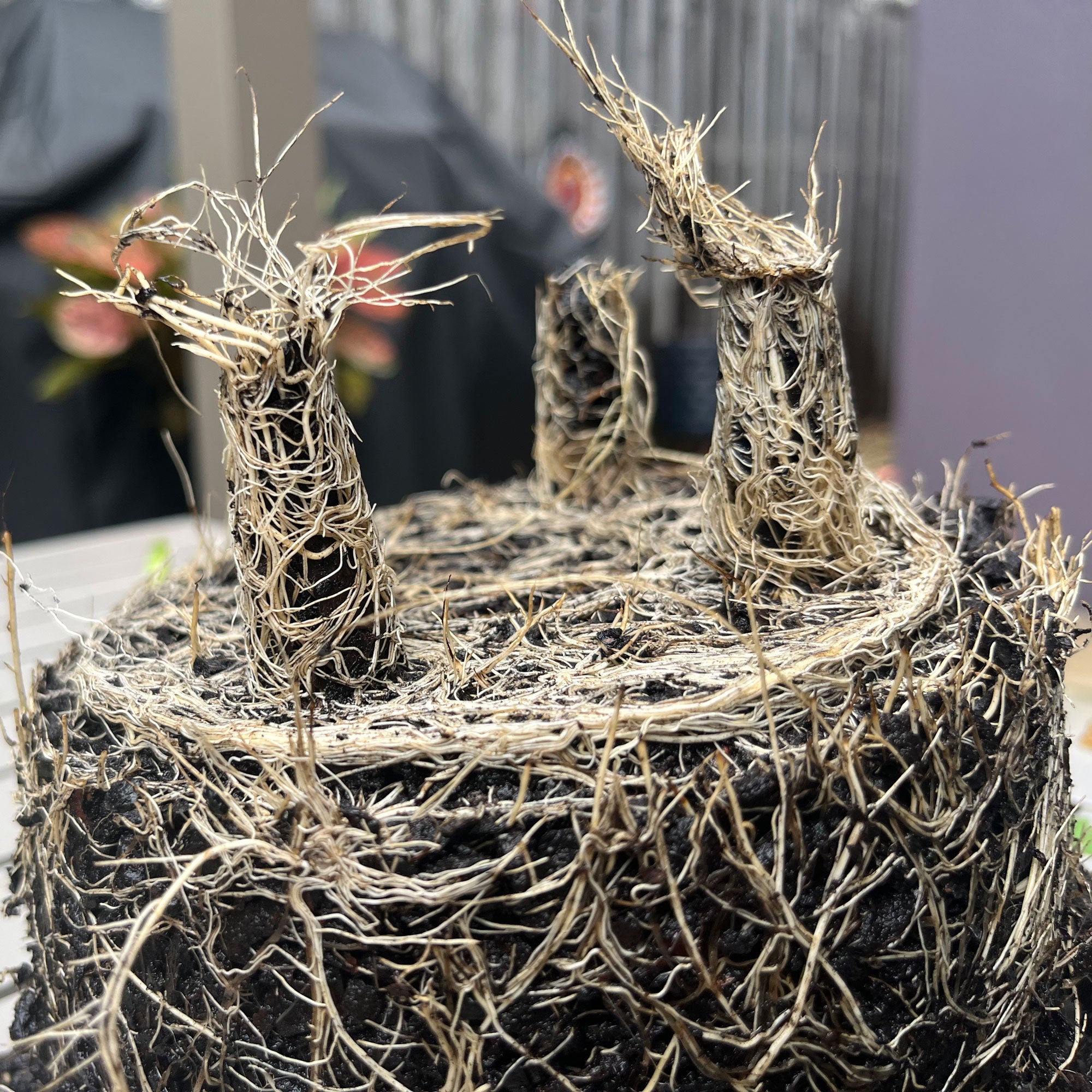 5" Gray Round Self-Watering Bamboo Pot