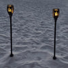 Solar-Powered "TH" Torch Box of 2