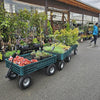 Greenhouse Wagon with Foam Wheels