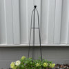 Queen Obelisk Classic