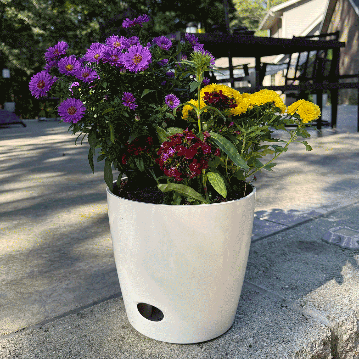 10" Cream Round Self-Watering Bamboo Pot