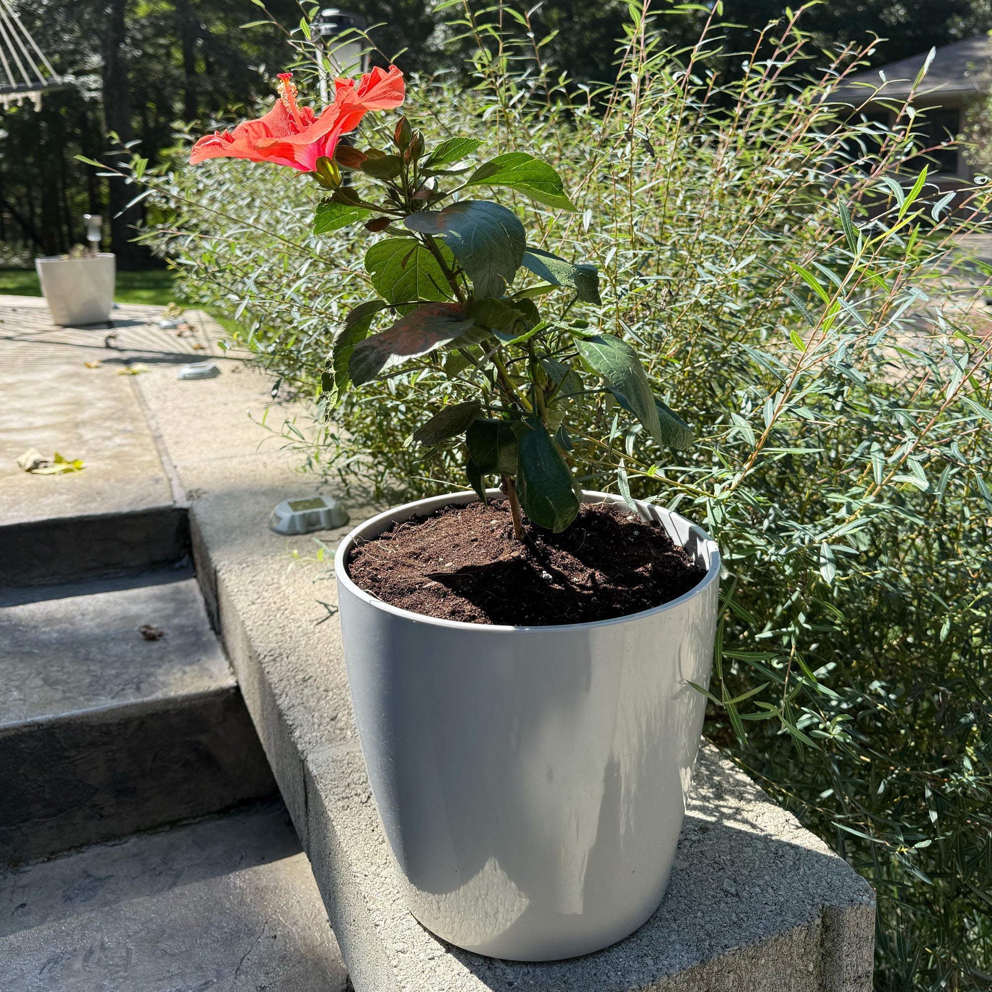 10" Gray Round Self-Watering Bamboo Pot