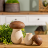 Mushroom Box (Set of 2) 5"H, 6.5"H Wood