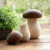 Mushroom Box (Set of 2) 5"H, 6.5"H Wood