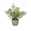 Potted Fern (Set of 3) 9.5”H Plastic