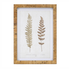 Framed Fern Print (Set of 4) 17.75”SQ Wood/MDF/Glass