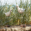 Bird (Set of 2) 12"H, 14.5"H Wood/Metal