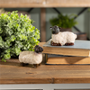 Sheep (Set of 6) 3"H, 3.25"H Resin