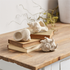 Shell (Set of 12) 2"H, 2.5"H, 3"H Resin