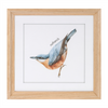 Framed Bird Print (Set of 8) 9.75”SQ MDF/Glass/Paper